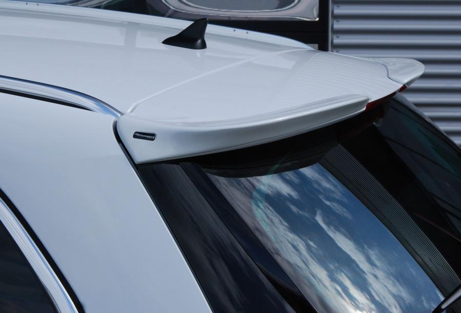  Opel Insignia Sports Tourer by Steinmetz 2009 года  (фото 7 из 24)